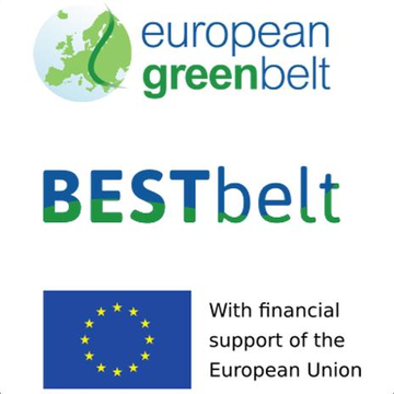 BestBelt logo